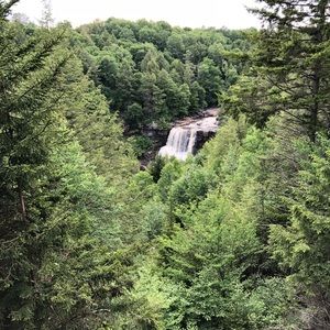 Meet your Posher, Adam